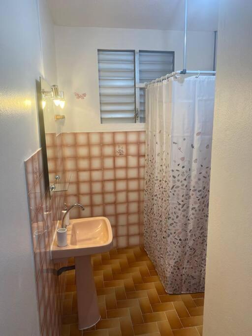 Appartement A Proximite De La Plage Du Bourg ! サンタンヌ エクステリア 写真
